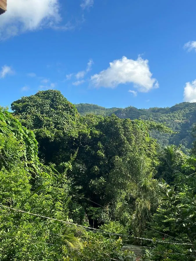 Forest View Apartments Seychelles Anse Etoile 0*,  Seychelles