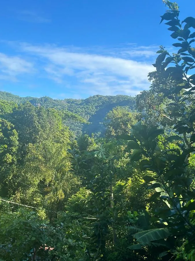 Forest View Apartments Seychelles Anse Etoile