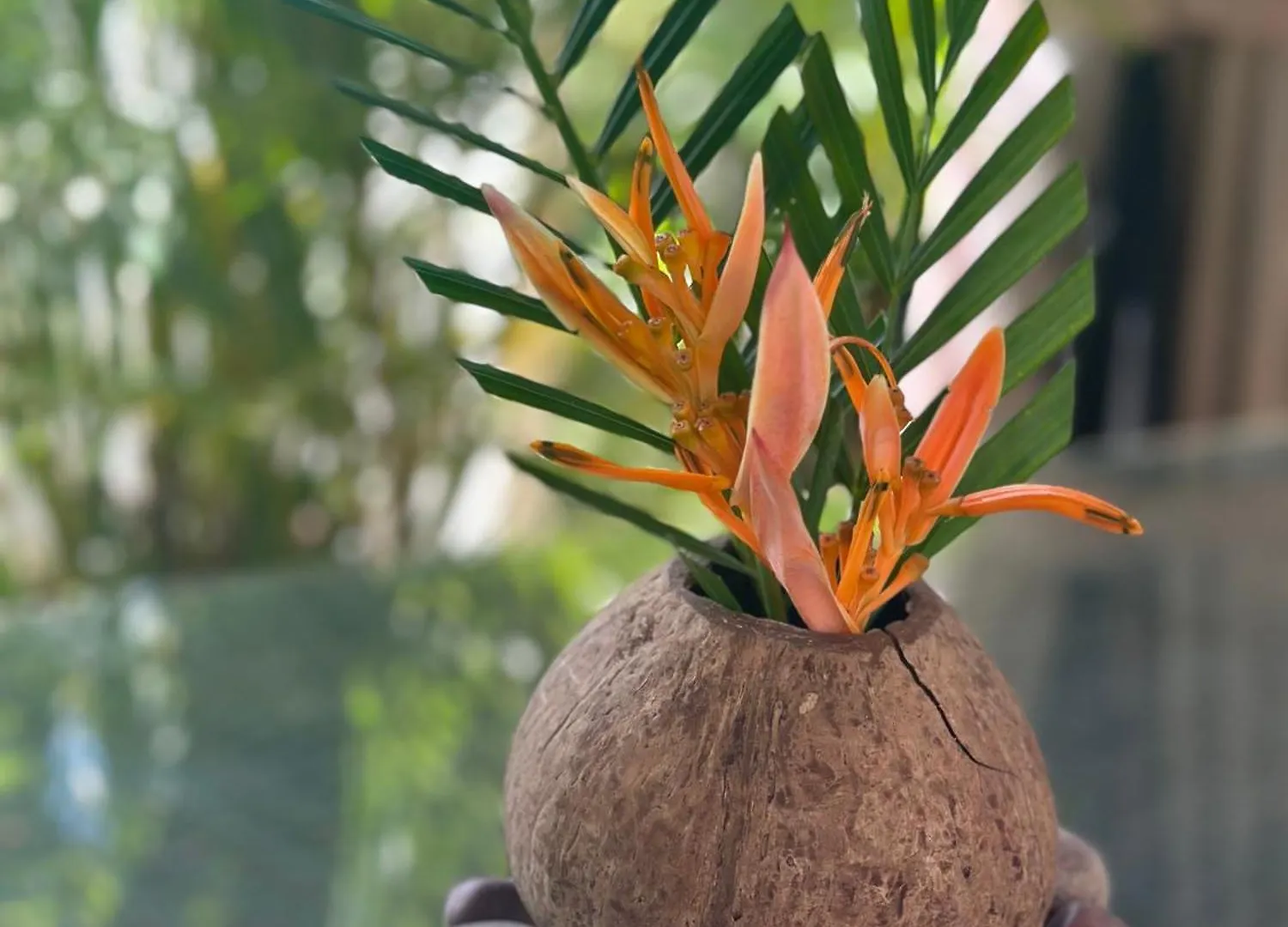 Forest View Apartments Seychelles Anse Etoile